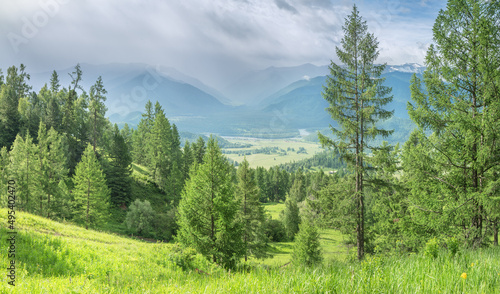Mountain landscape, summer greenery, forest and mountains in clouds