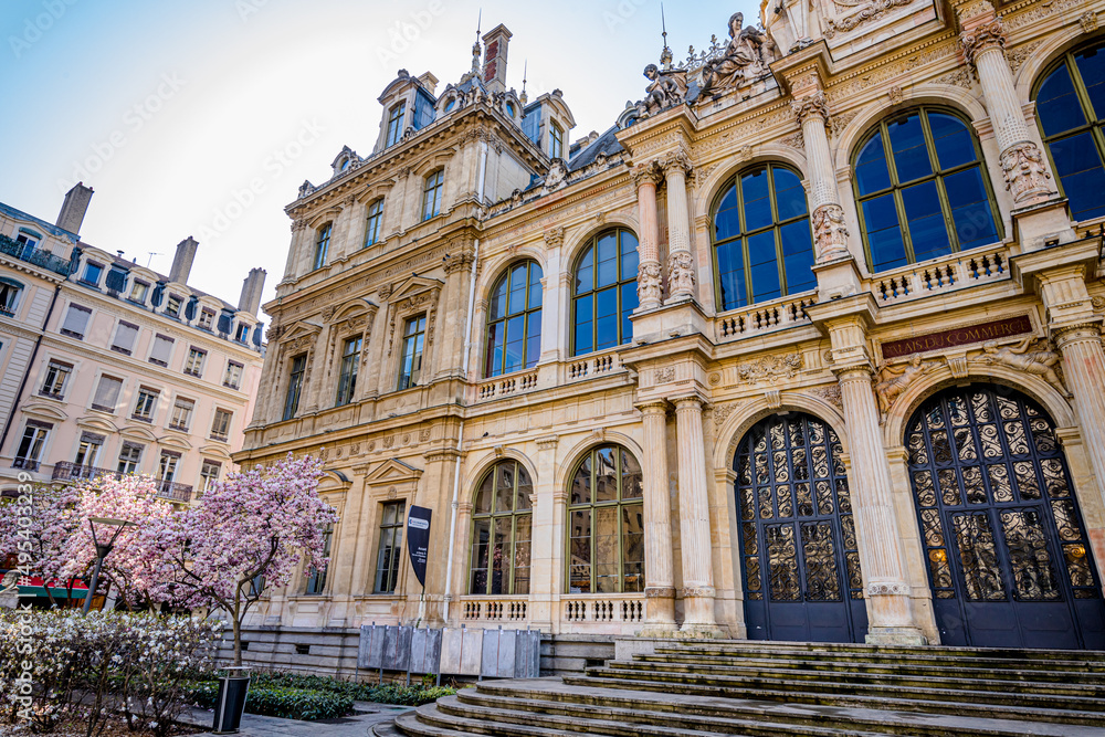 Le Palais de la Bourse de Lyon et ses Magnolias