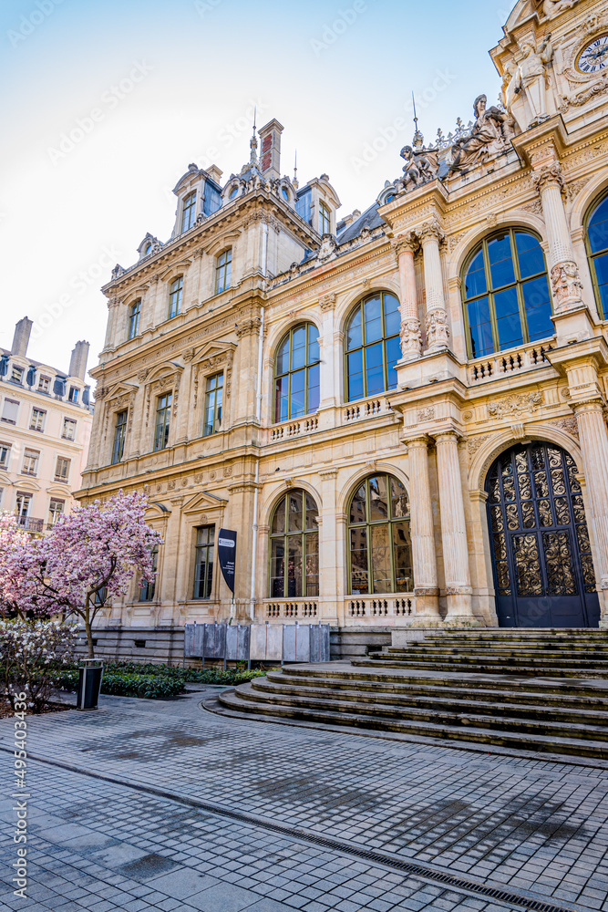 Naklejka premium Le Palais de la Bourse de Lyon et ses Magnolias