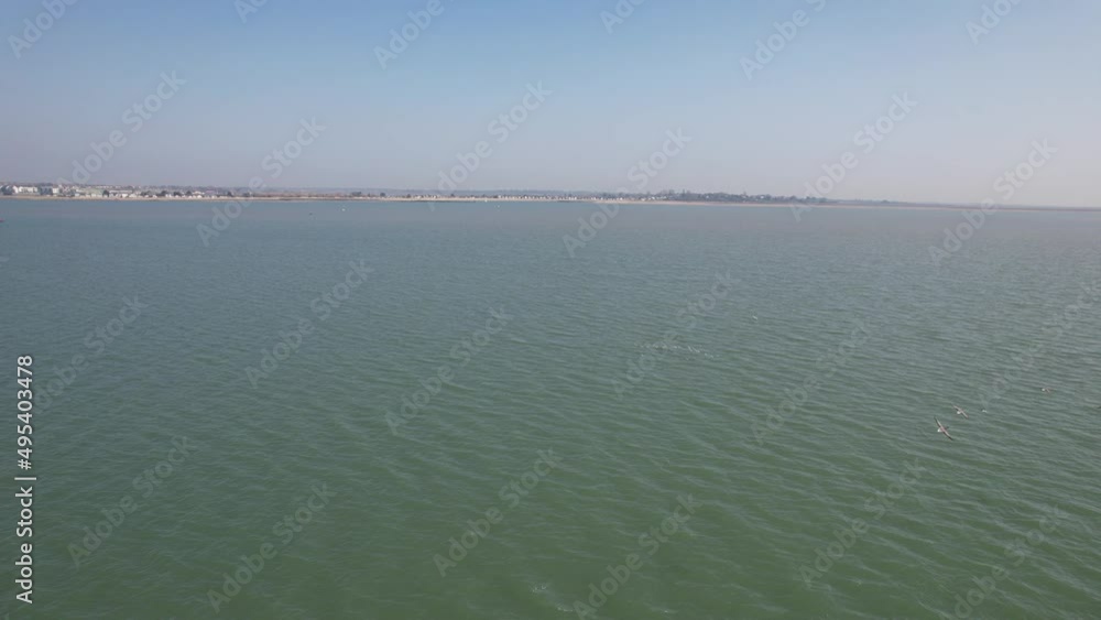Flock of birds flying low over sea tracked by drone Flock of birds flying low over sea tracked by drone