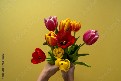 Multicolored tulips on yellow background with copy space for text. Bouquet of spring flowers. Isolated on yellow background.  Mother's Day, Valentines, Anniversary, Easter, Birthday.