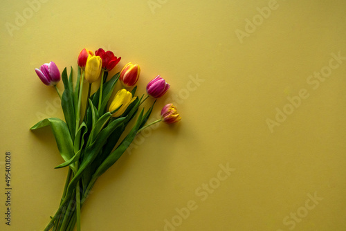 Multicolored tulips on yellow background with copy space for text. Bouquet of spring flowers. Isolated on yellow background.