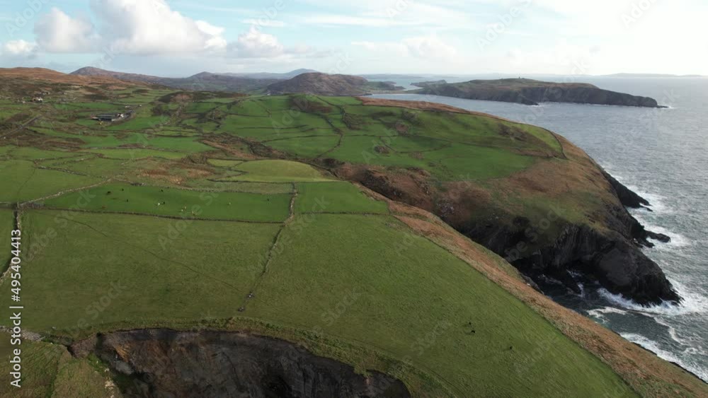 Aerial view of amazing green coastal fields in south of Ireland, meadows and animals above steep cliffs and Atlantic ocean, drone shot Aerial view of amazing green coastal fields in south of Ireland, meadows and animals above steep cliffs and Atlantic ocean, drone shot