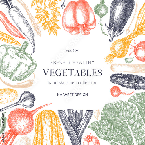 Hand-sketched Vegetable frame design in color. Hand-drawn tomatoes, squashes, peppers, potatoes, asparagus and other vegetables card. Healthy food template for menu, recipe, restaurant, packaging