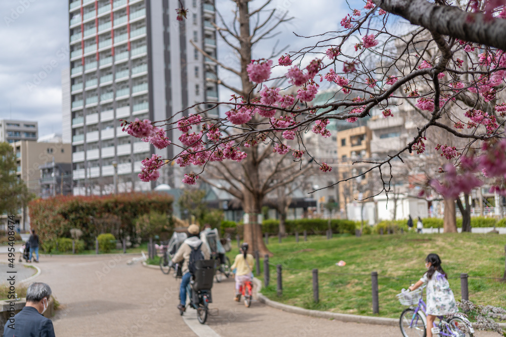 Obraz premium 公園