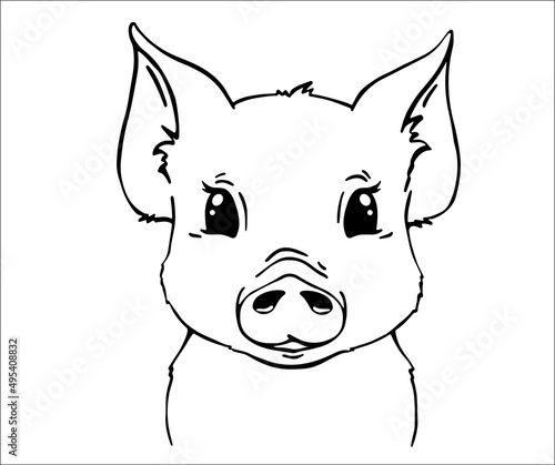 Cute pig face children's t-shirt print. Baby cute farm vector illustration
