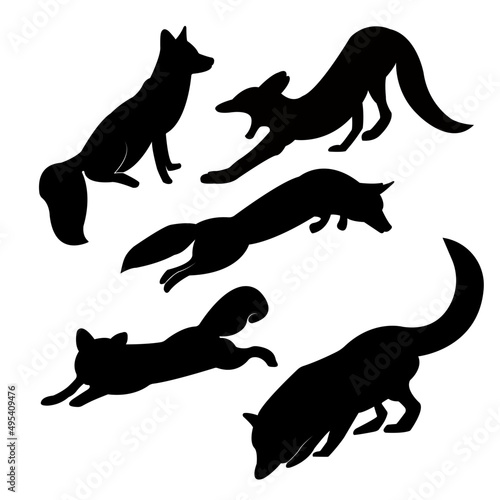 Fotografi Isolated on a white background, a collection of fox vector silhouettes