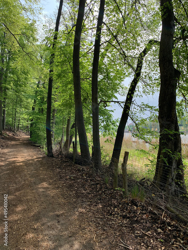 Waldlandschaft Griebnitzsee Uferweg Hirschberg Klein-Glienicke Berlin