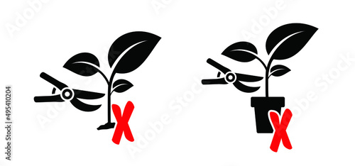 Warning, forbidden, no plucking  plants and blooms or pick up flower or bloom. Do not pluck or grab flowers and blossom. Stop, no ban icon or pictogram. No prune, tripe, snip, cut or trim plant.