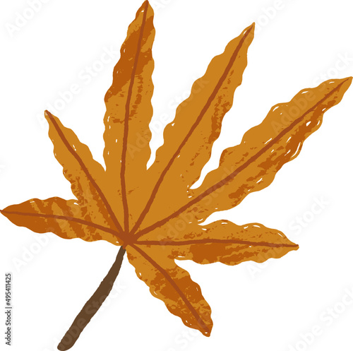 Autumn Leaf Colored Cartoon Illustartion