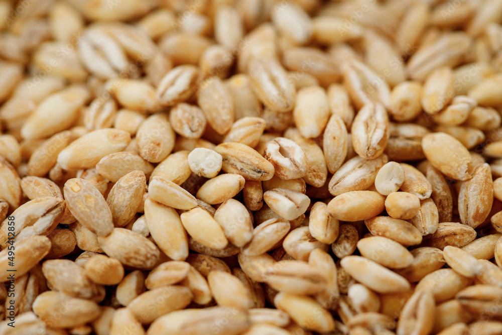 Barley groats texture background. High quality photo Barley groats texture background. High quality photo