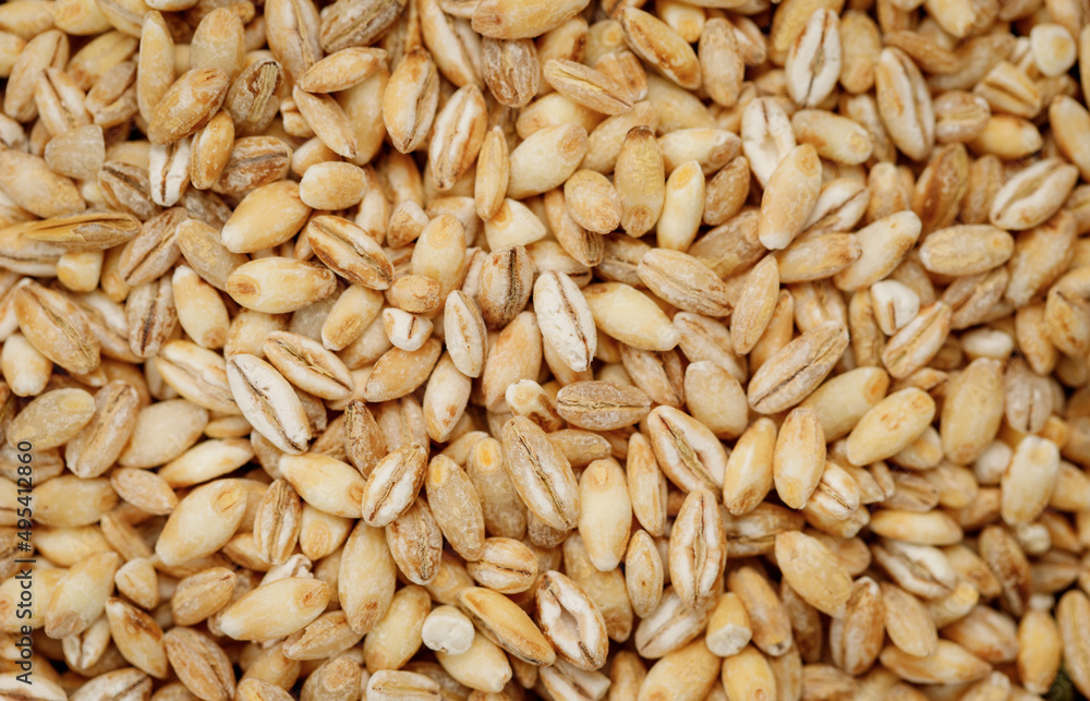 Barley groats texture background. High quality photo Barley groats texture background. High quality photo