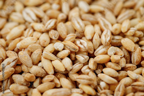 Barley groats texture background. High quality photo