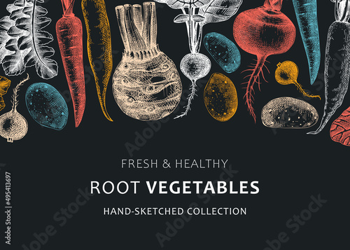 Root vegetables background. Root plants sketches design on chalkboard. Garden vegetable vector banner. Hand-sketched beet, radish, daikon, celery, turnip illustration for menu, recipe, packaging.