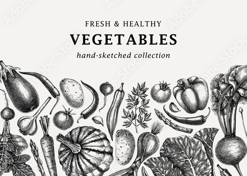 Hand-sketched vegetables design. Hand-drawn tomatoes, squashes, peppers, potatoes, asparagus and other vegetables. Healthy food banner for menu, restaurant, packaging, labels. Botanical illustration