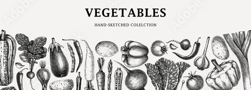 Hand-sketched vegetables design. Hand-drawn tomatoes, squashes, peppers, potatoes, asparagus and other vegetables. Healthy food banner for menu, restaurant, packaging, labels. Botanical illustration