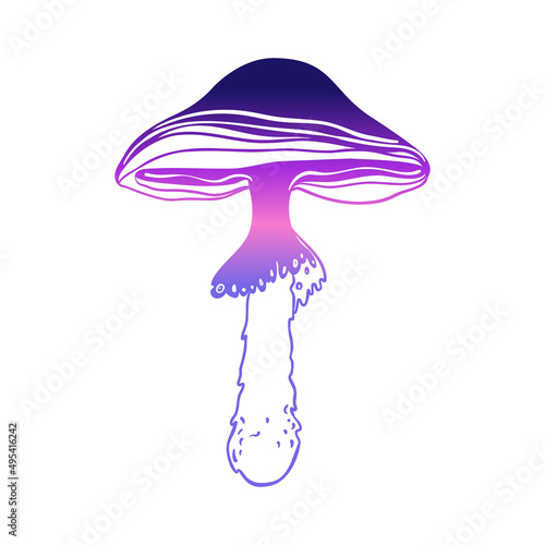 Magic mushrooms. Psychedelic hallucination. Gradient colorful vector illustration isolated on white. 60s trippy hippie art.