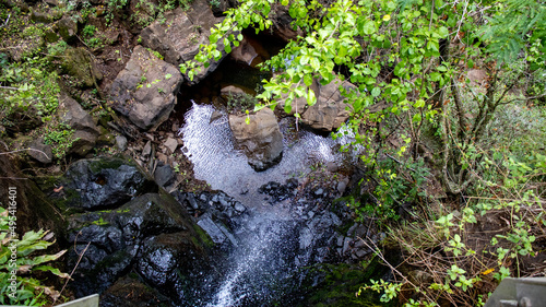 Posso com água caindo nas pedras e árvores e plantas na composição. photo