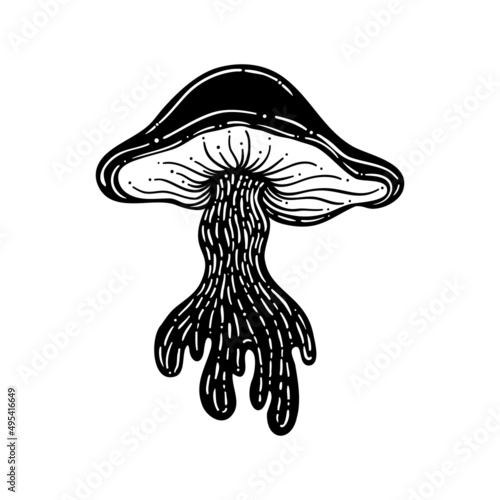 Magic mushrooms. Psychedelic hallucination. Outline vector illustration isolated on white. 60s hippie art. Coloring book for kids and adults.