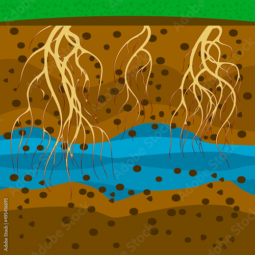Roots in ground.Plant roots under soil.Soil layers.Underground with dirt layers,water and root.Cross section ground slice.Soil layer scheme with roots and earth texture.Soil layers.Vector illustration