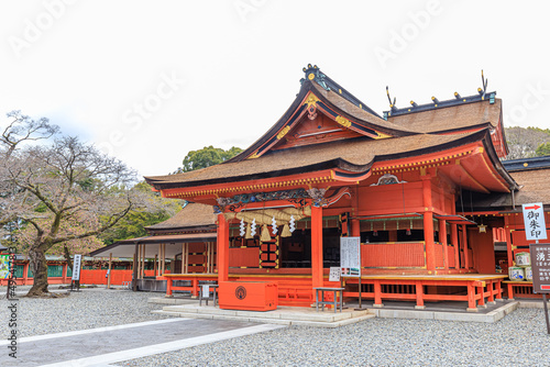                                                                Fujisan Hongu Sengen Taisha Shrine in early spring.Sizuoka-ken Fujinomiya city.