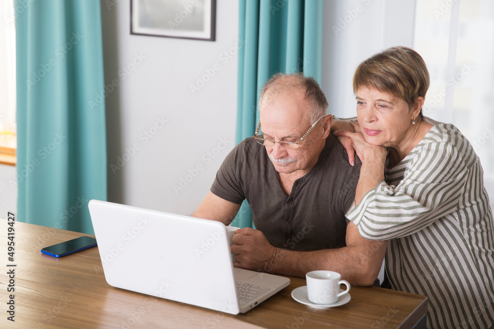 elderly man connecting to the Internet from home. healthy seniors lifestyle. work from home. Senior couple using a laptop, in a stylish living room, elderly man connecting to the Internet from home. healthy seniors lifestyle. work from home. Senior couple using a laptop, in a stylish living room,