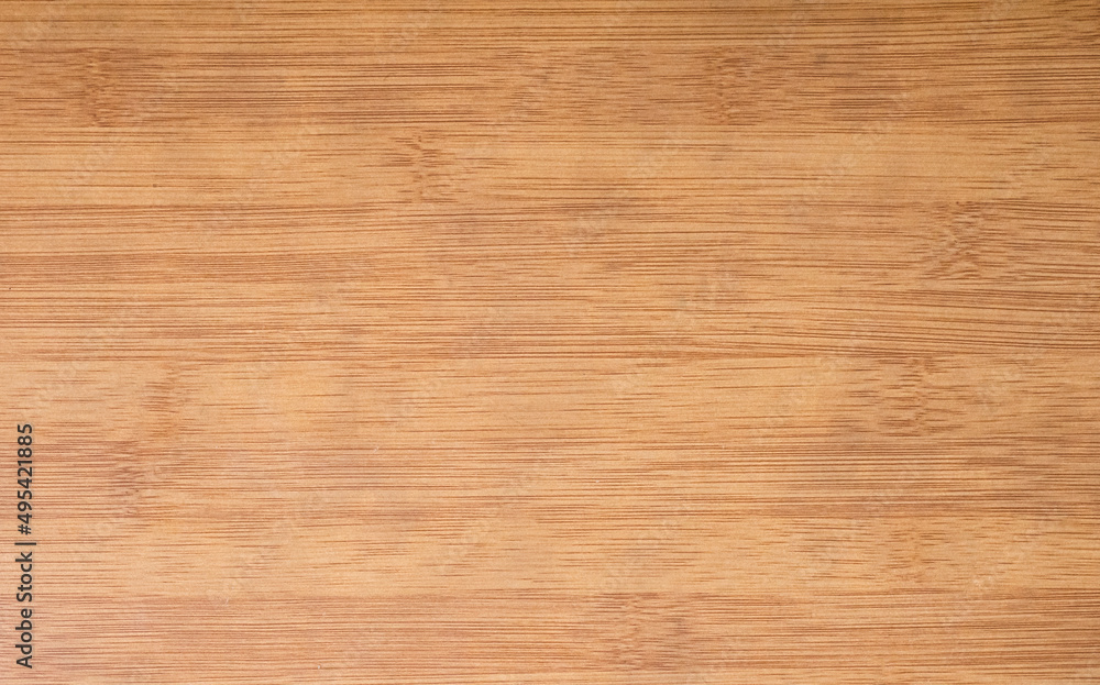 wood texture background. surface of the wood texture wood texture background. surface of the wood texture