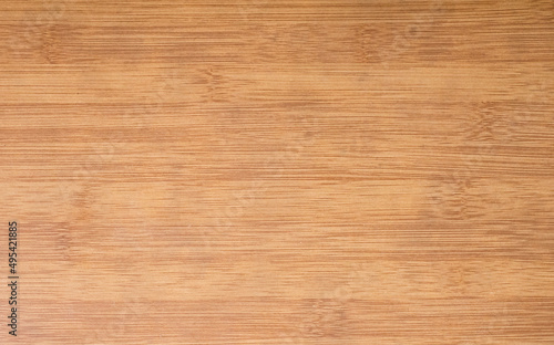 wood texture background. surface of the wood texture
