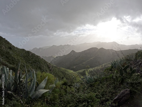 Anaga mountains, steep slopes covered with green and lush forest. A Rural Parkand Biosphere Reserve in Tenerife, Canary islands, Spain photo