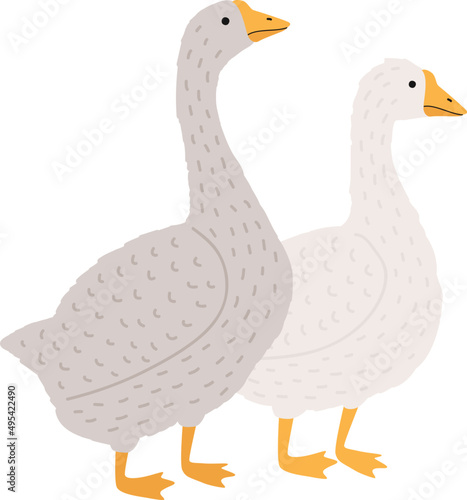 Adorable Goose and Duck Childish Cartoon Illustration