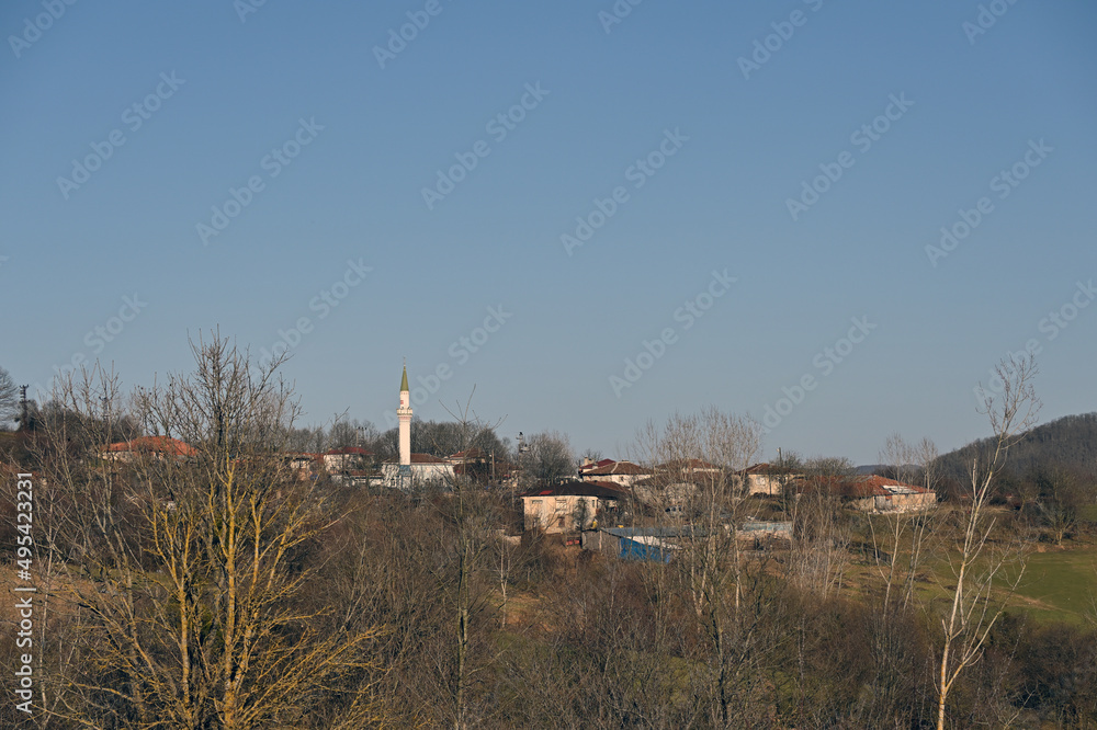 Obraz premium mosque in the forest