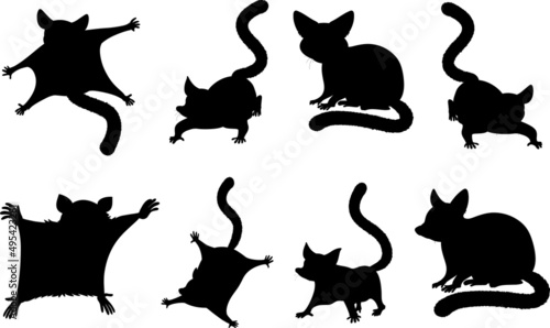 Sugar Glider Silhouettes Sugar Glider SVG EPS PNG photo