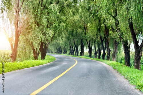 Asphalt road through green field in summer day © xy