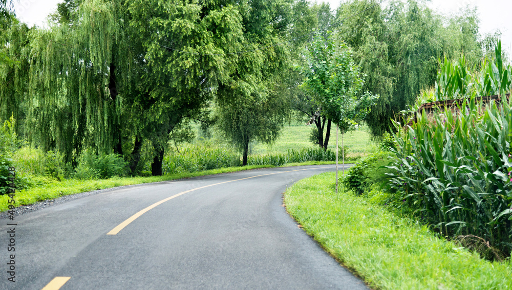 Asphalt road through green field in summer day