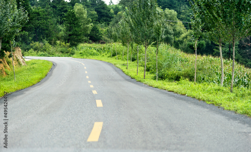 Obraz premium Asphalt road through green field in summer day