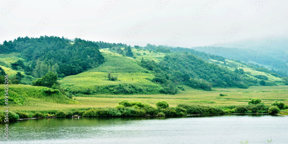 Idyllic summer landscape with mountain lake