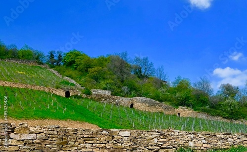 sentier des cabornes polyemieux au mont d'or lyonnais france