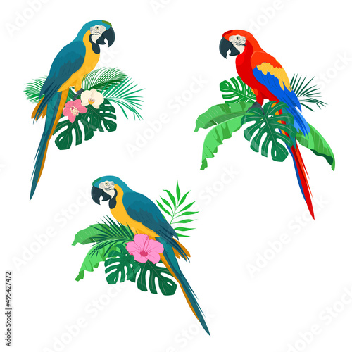Blue and red macaw parrots on palm leaves. Summer arrangements with macaw parrots, palm leaves and orchids and hibiscus flowers. Vector illustration
