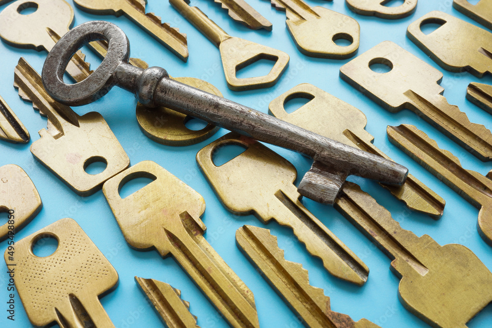 Fototapeta premium Metal key on others. Symbol of correct decision or answer.