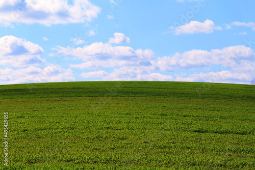 green grass meadow pasture blue sky puffy clouds overcast shadows landscape