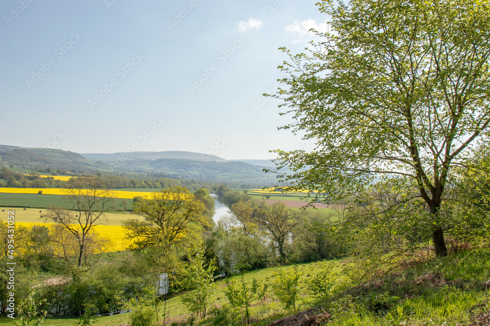 Fototapeta premium springtime scenery in the Wye valley.