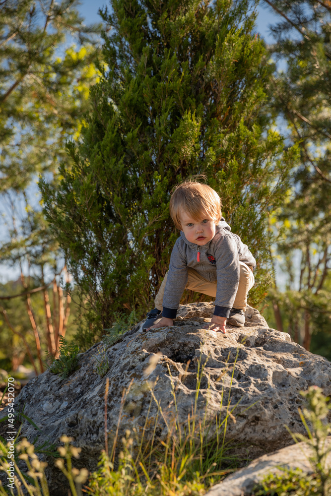 A little boy walks in a park in nature with stones in clear summer, autumn weather A little boy walks in a park in nature with stones in clear summer, autumn weather