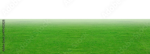 Green grass field isolated oMeadow green with fog smoke floats up isolated on white background, for a montage product display. with clipping path