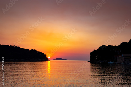 Pine trees on a sunset time in a coast of sea © Sergey Fedoskin