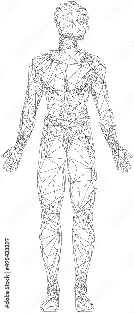 Human body with head and limbs low poly geometric. Outline of man made