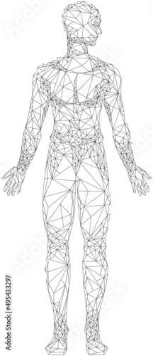 Human body with head and limbs low poly geometric. Outline of man made of black lines and dots. Polygonal human profile modern 3D volumetric image. Body silhouette isolated on white background