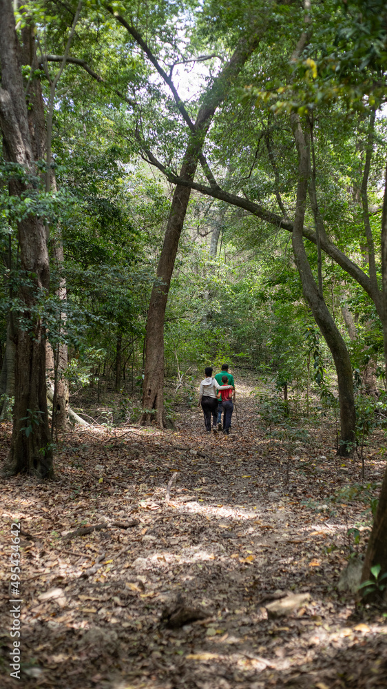 multiracial family walking in a forest, middle aged black man, young mestizo woman and caucasian child, with large trees and dry leaves on the ground, with a path multiracial family walking in a forest, middle aged black man, young mestizo woman and caucasian child, with large trees and dry leaves on the ground, with a path