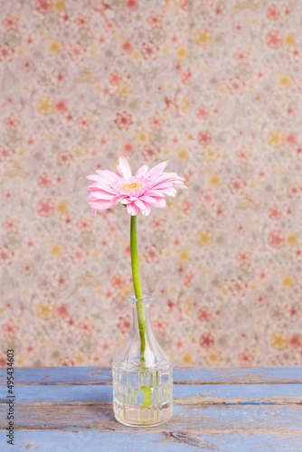 one pink gerbera flower in a vase infront of floral pattern wall