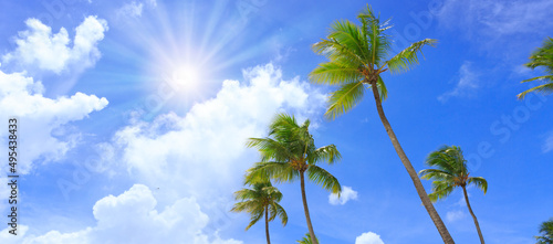 Travel background with sunshine and palm trees in the Caribbean.