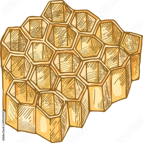 Honeycomb Colored Illustration